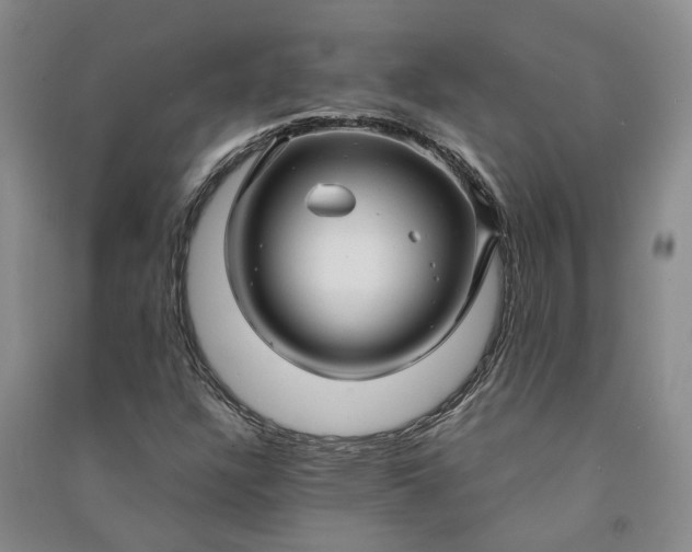 X0000090961304200708161808