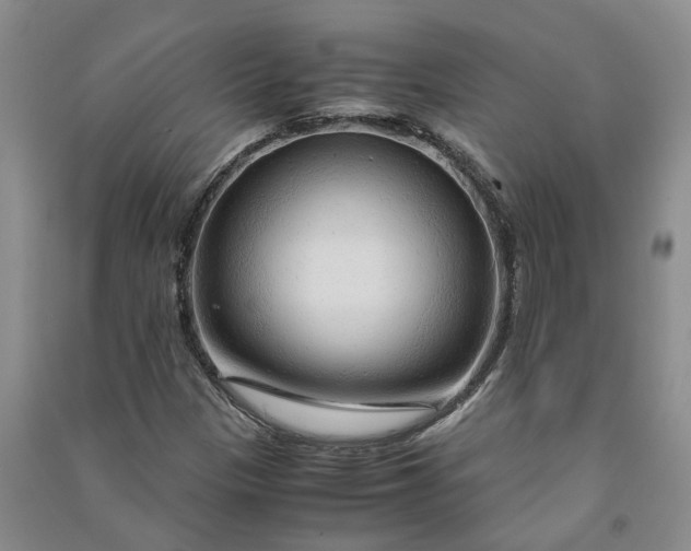 X0000090961305200708161808