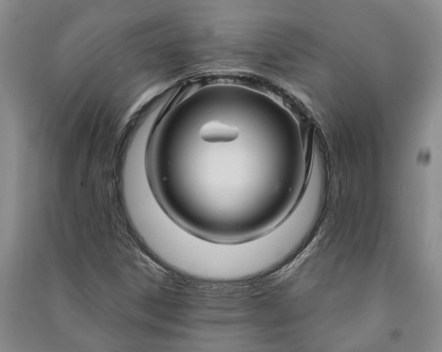 X0000090961306200708161808