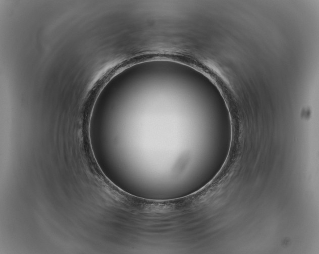 X0000090961307200708161808