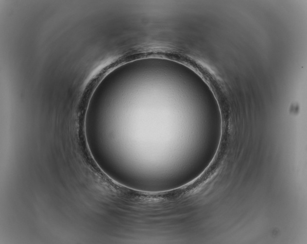 X0000090961309200708161808