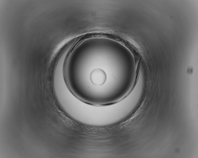 X0000090961310200708161808