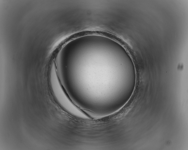 X0000090961311200708161808