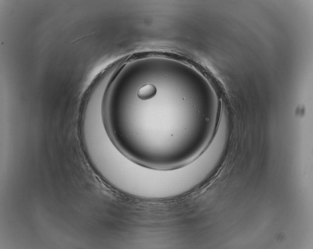 X0000090961312200708161808