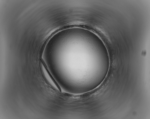 X0000090961313200708161808