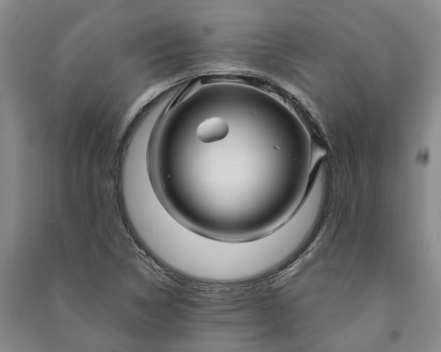 X0000090961314200708161808