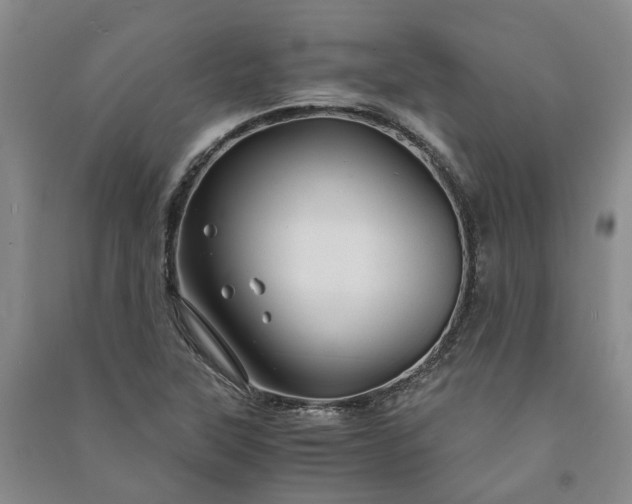 X0000090961315200708161808