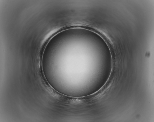 X0000090961317200708161808