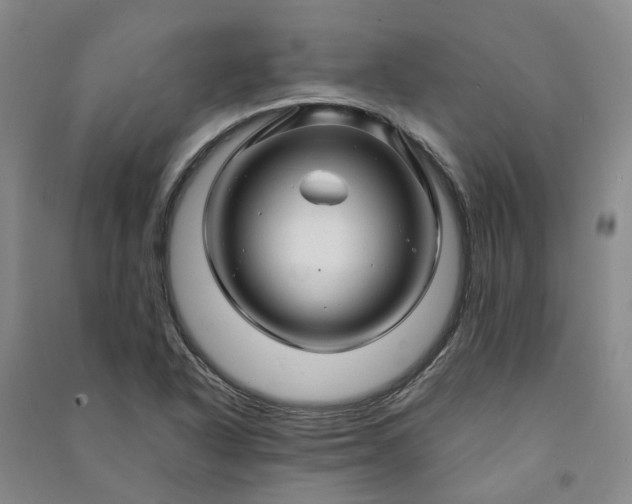 X0000090961318200708161808