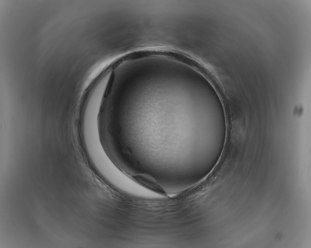 X0000090961319200708161808