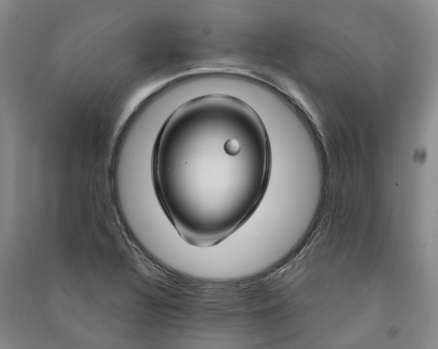 X0000090961320200708161808