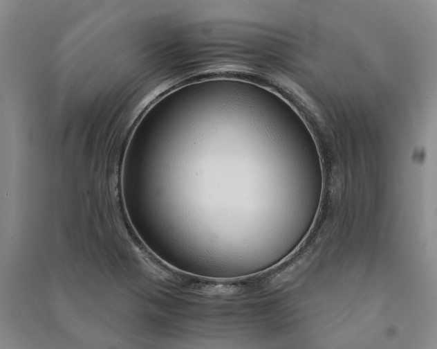 X0000090961321200708161808