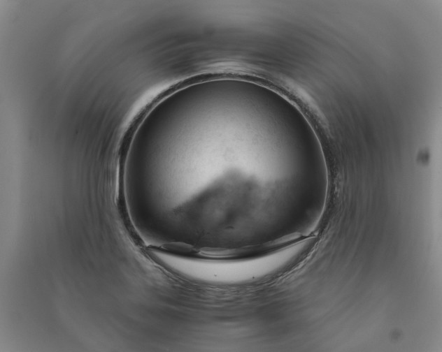 X0000090961323200708161808