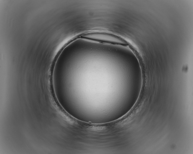 X0000090961325200708161808
