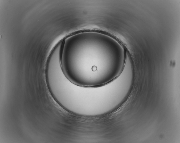 X0000090961326200708161808