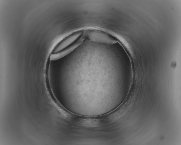 X0000090961327200708161808