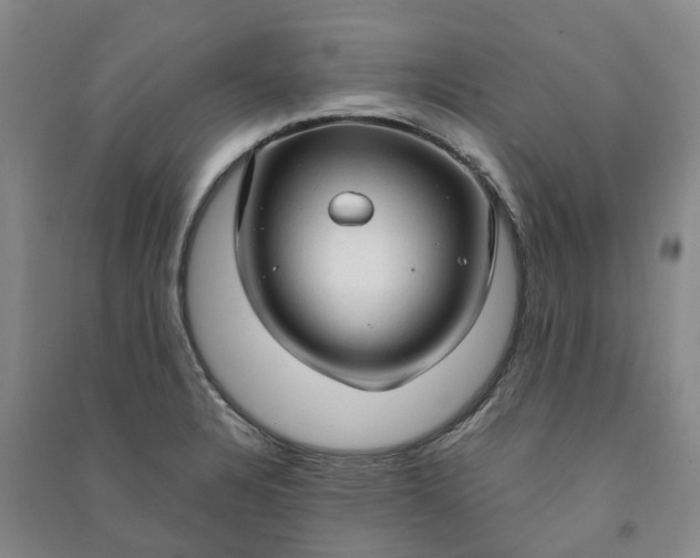 X0000090961328200708161808
