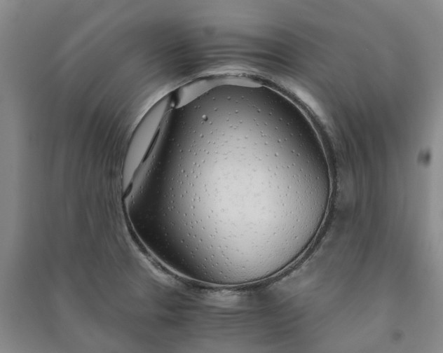 X0000090961329200708161808