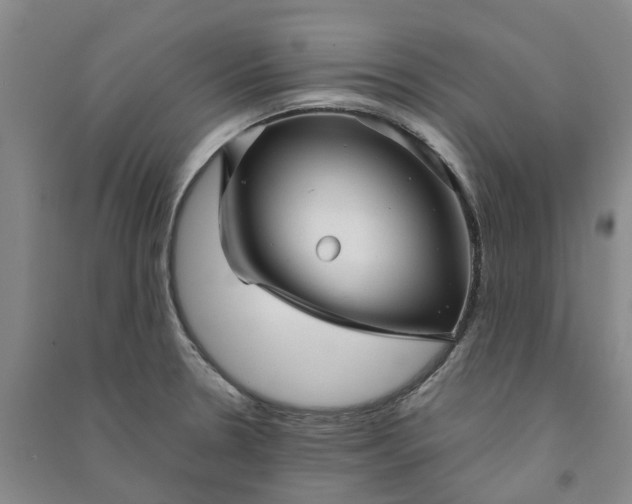 X0000090961330200708161808