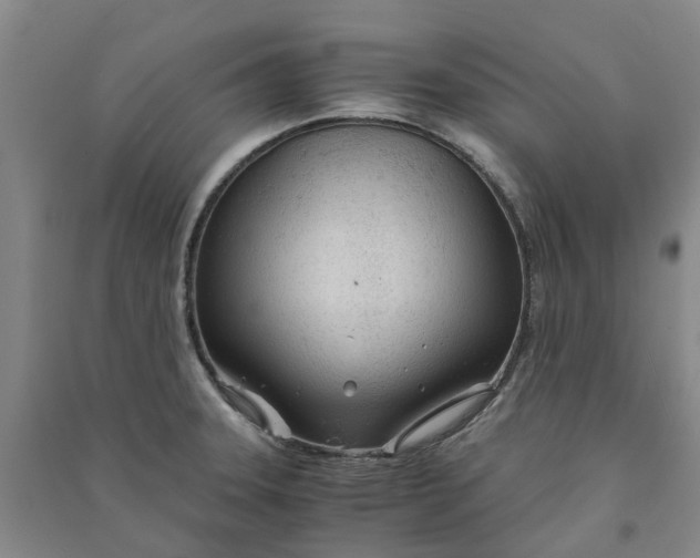 X0000090961331200708161808