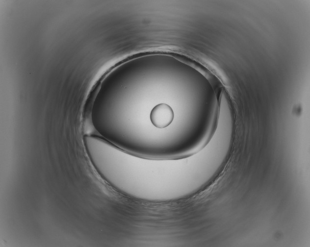 X0000090961332200708161808