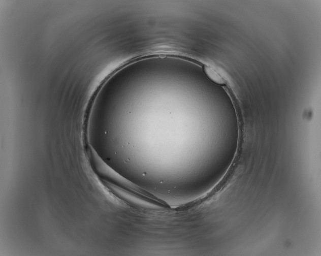 X0000090961333200708161808