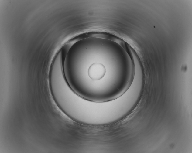 X0000090961334200708161808