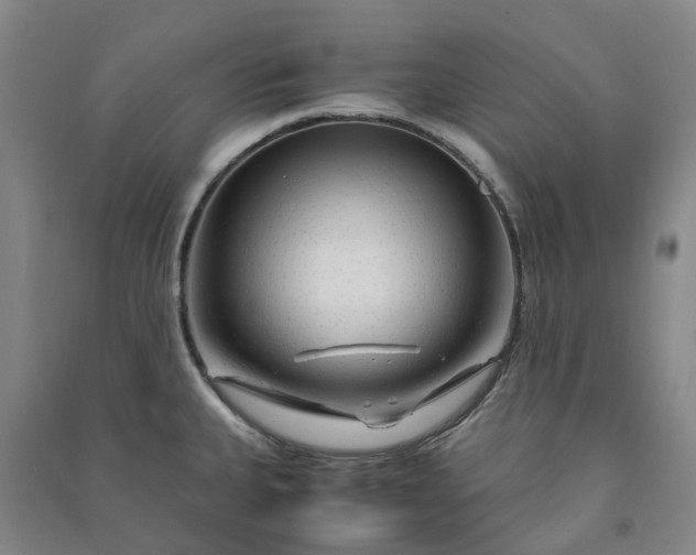 X0000090961335200708161808