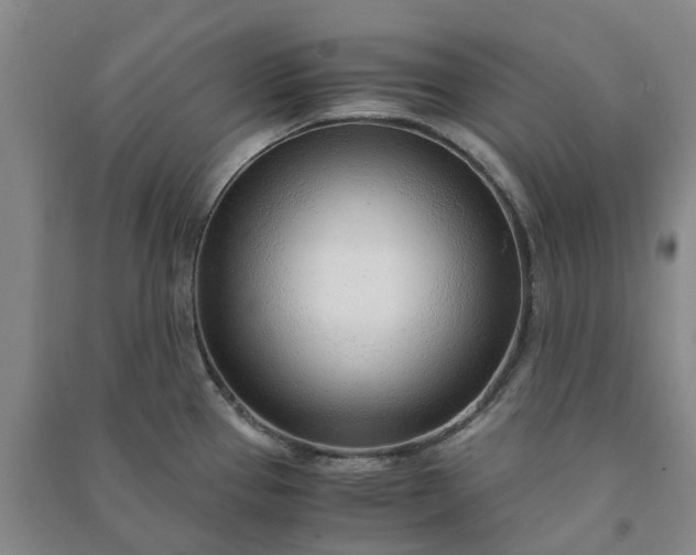 X0000090961337200708161808