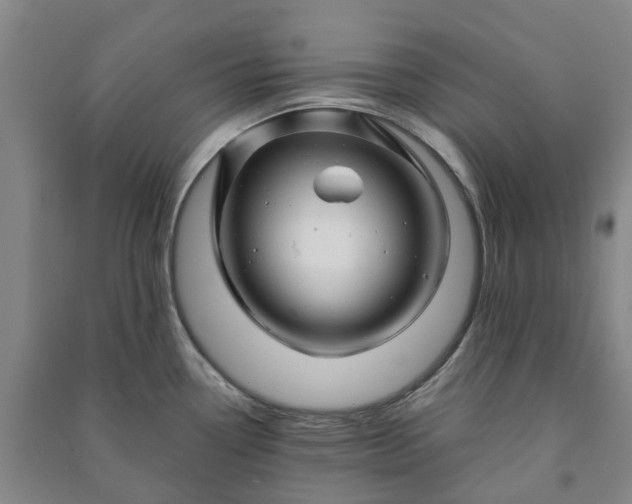 X0000090961338200708161808