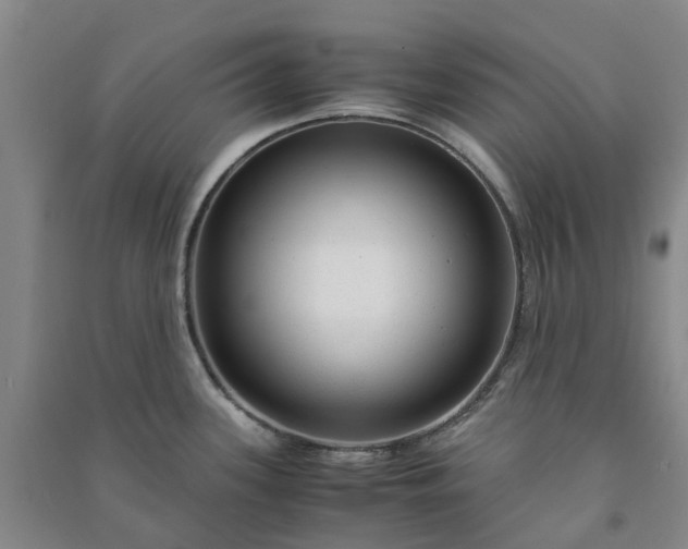 X0000090961339200708161808