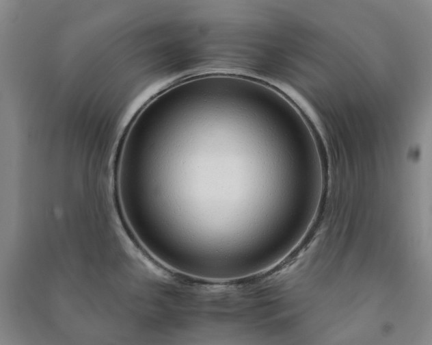 X0000090961341200708161808