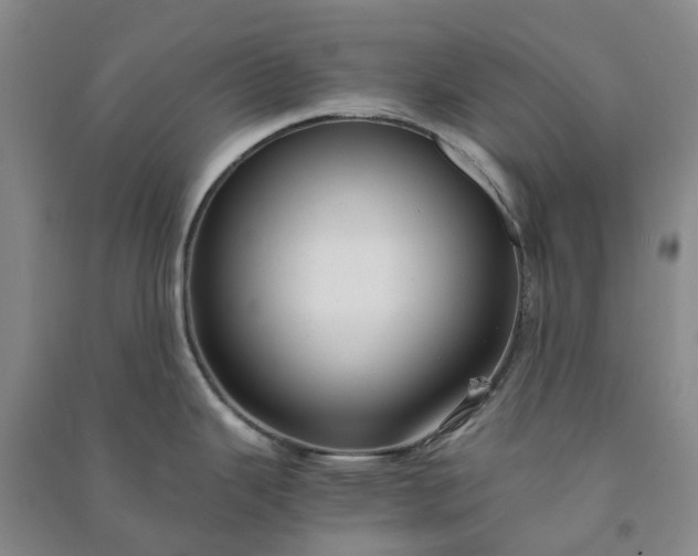 X0000090961343200708161808