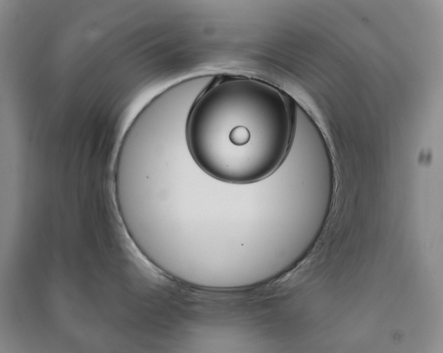 X0000090961344200708161808