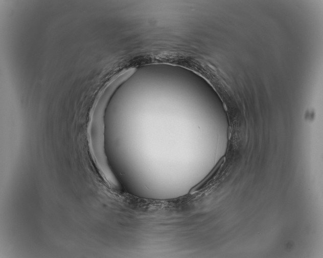 X0000090961345200708161808