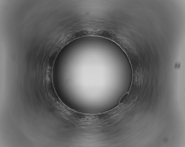 X0000090961346200708161808
