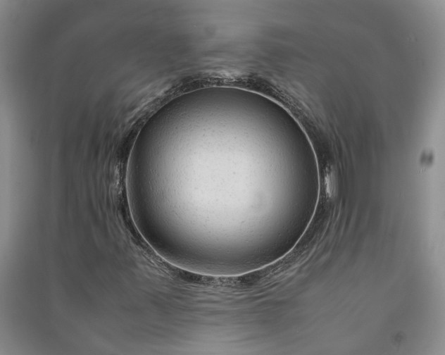 X0000090961347200708161808