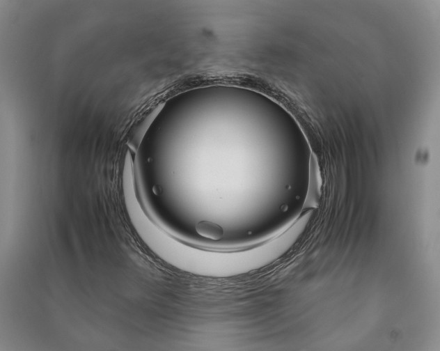 X0000090961348200708161808