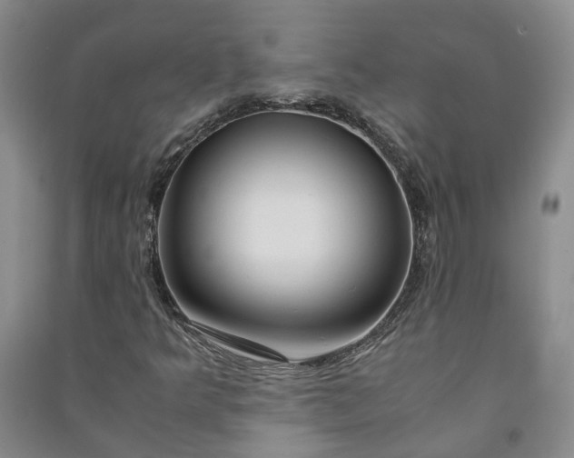 X0000090961349200708161808