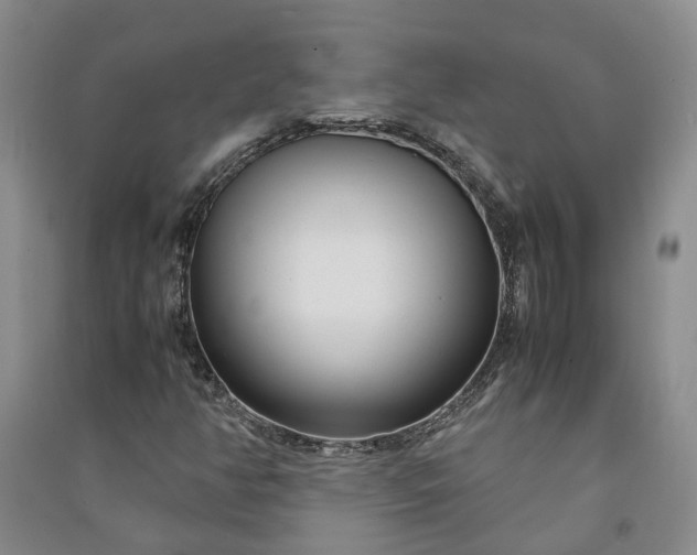 X0000090961350200708161808