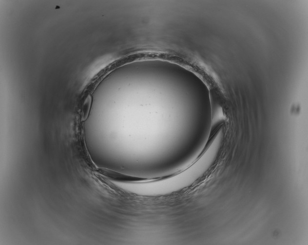 X0000090961352200708161808