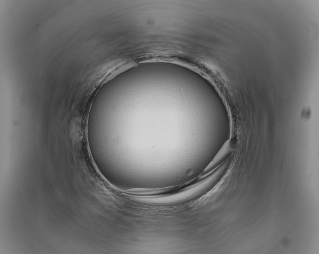 X0000090961353200708161808
