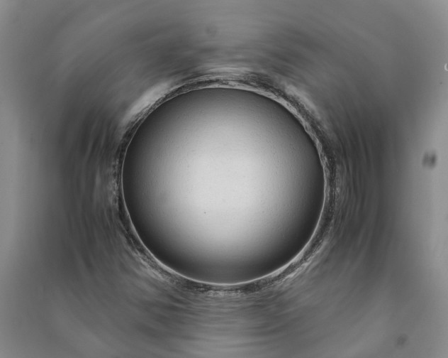 X0000090961354200708161807
