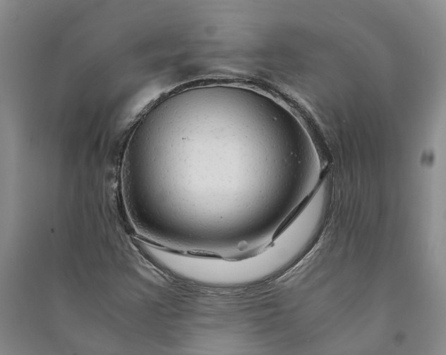 X0000090961355200708161807
