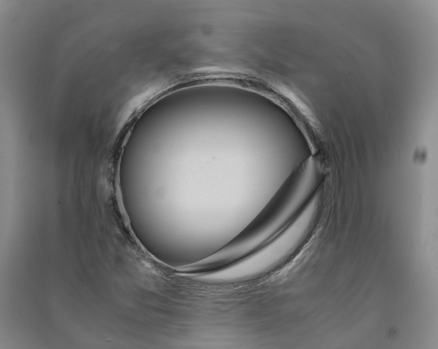 X0000090961357200708161807