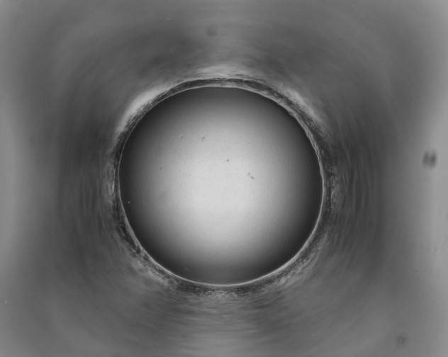 X0000090961358200708161807