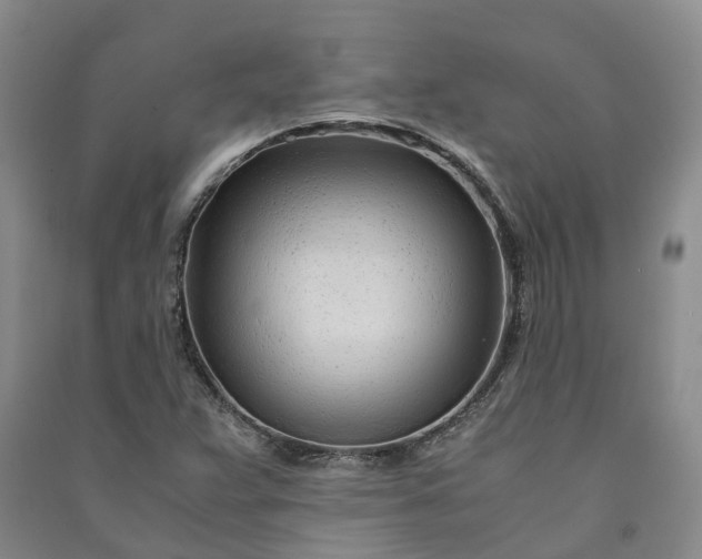 X0000090961359200708161807