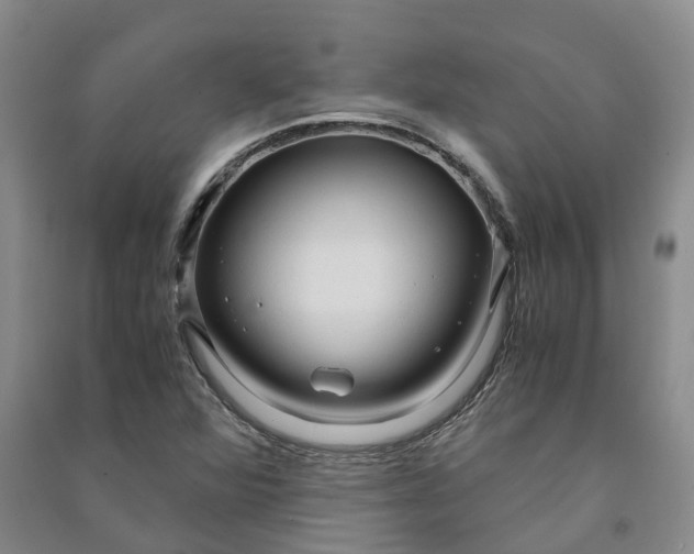 X0000090961360200708161807