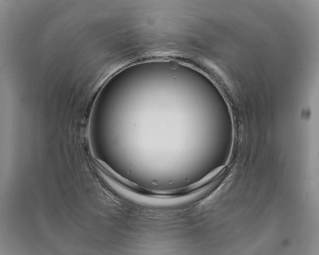 X0000090961361200708161807