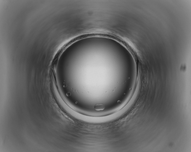 X0000090961364200708161807